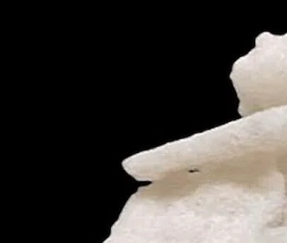 Designer Drug Abuse E1717799089165